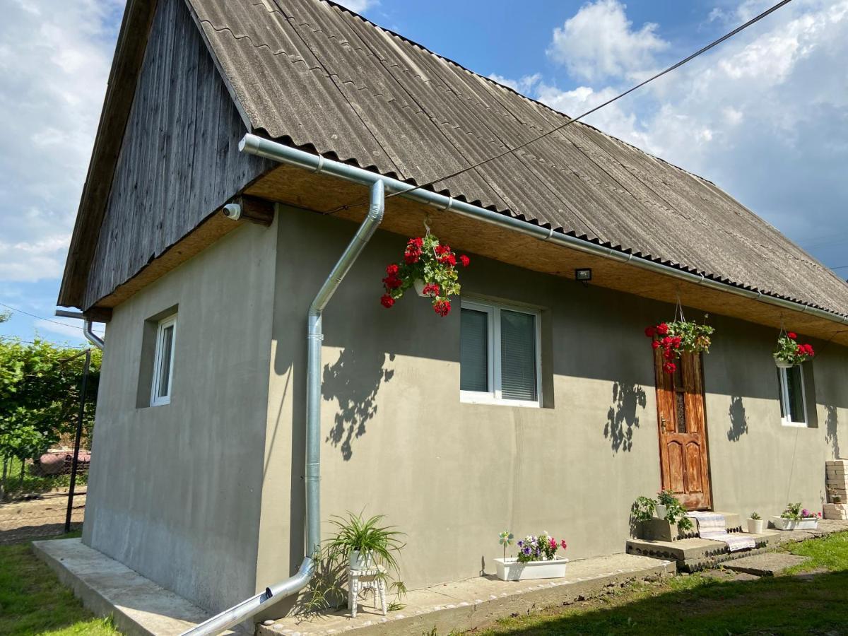 Біля Саду Wołowiec Zewnętrze zdjęcie